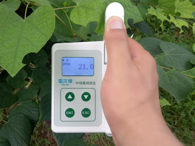 葉綠素含量測定儀具備哪些功能