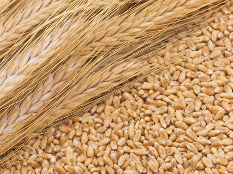 糧食重金屬檢測(cè)儀可以檢測(cè)糧食制品嗎？