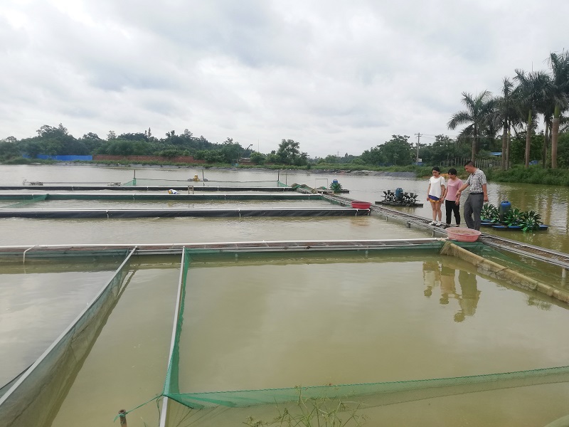 余氯分析儀可提前預(yù)防養(yǎng)殖風(fēng)險(xiǎn)