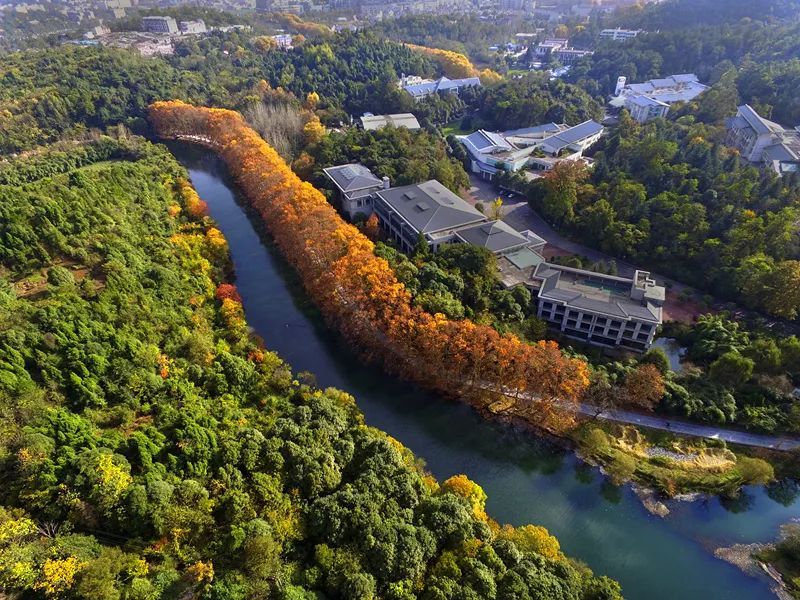 自動(dòng)雷達(dá)水位雨量監(jiān)測(cè)系統(tǒng)監(jiān)測(cè)江河流量