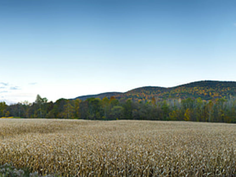 測(cè)定植物的營(yíng)養(yǎng)，為農(nóng)戶取得更大效益