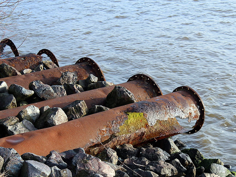 水質(zhì)生物毒性在線分析儀具備哪些特點？