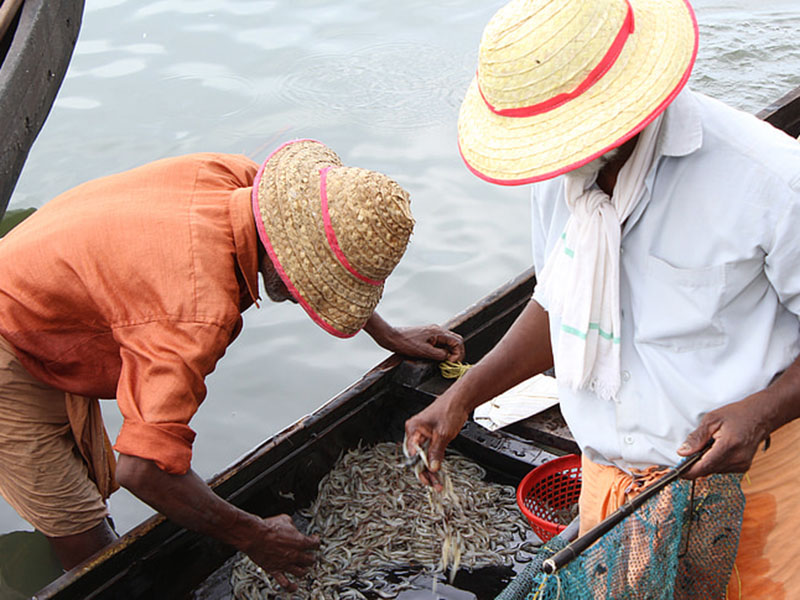 水產(chǎn)養(yǎng)殖業(yè)檢測水質(zhì)的儀器是哪款？