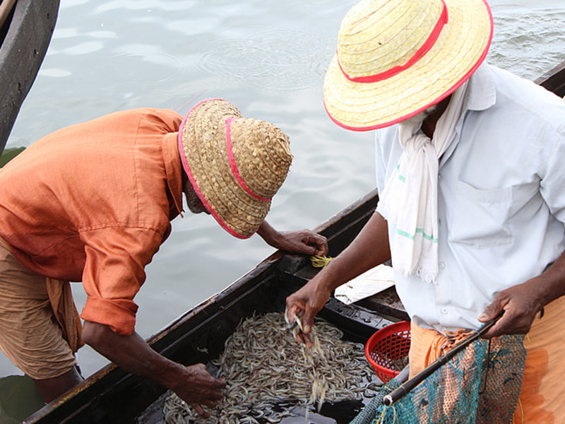 余氯檢測儀對水產(chǎn)養(yǎng)殖有什么幫助？