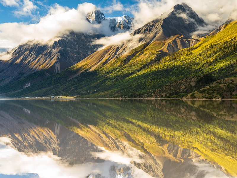 生物毒性檢測儀價(jià)格