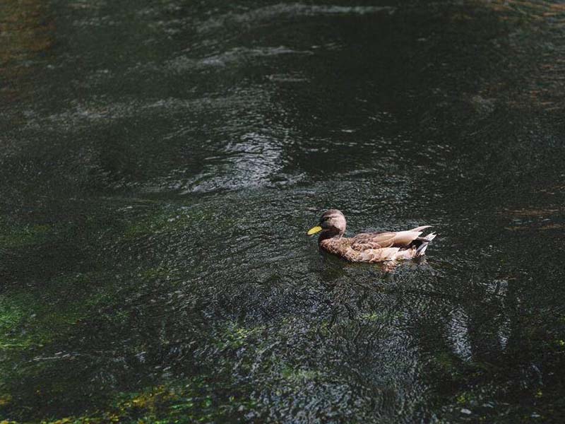 水質重金屬檢測設備哪種好