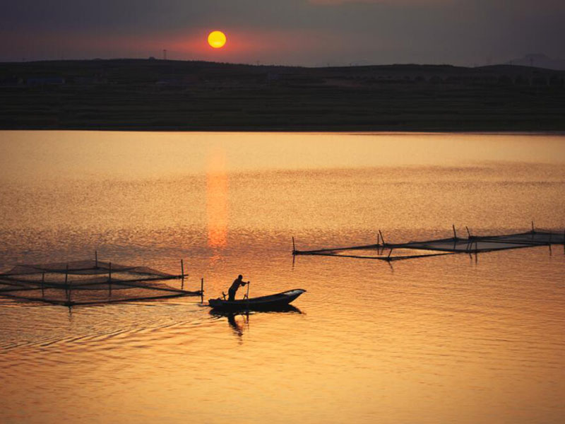 水產養(yǎng)殖水質分析儀可以檢測哪些項目