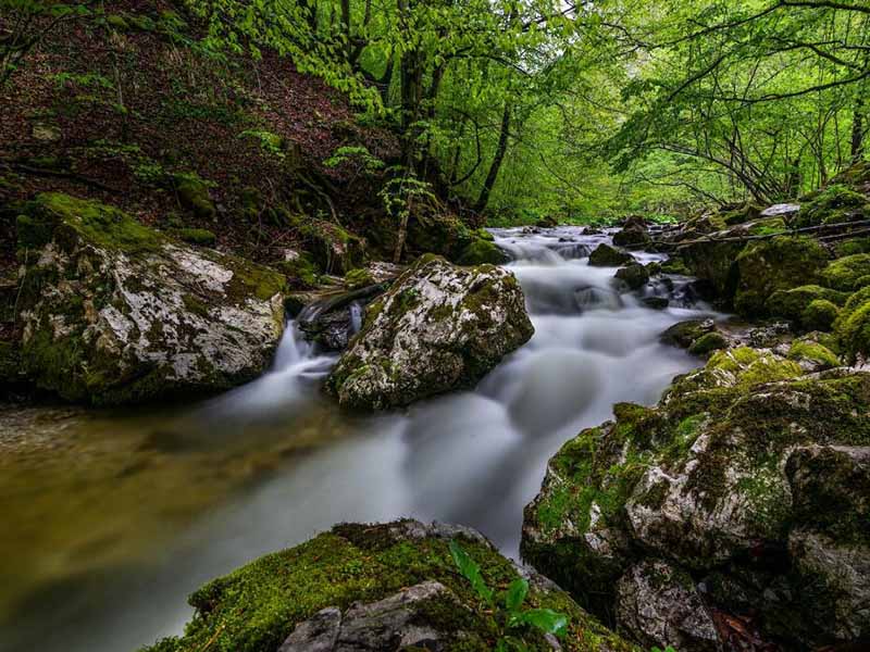 溶解氧測(cè)定的三種方法