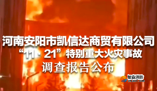 河南致42人亡特大火災事故調查報告公布!