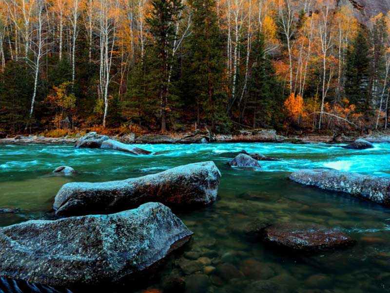 氨氮測定儀基本工作原理（氨氮測定儀類型）