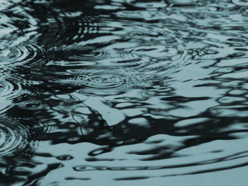 水質(zhì)檢測(cè)中常見金屬元素及來(lái)源（金屬元素的毒性機(jī)制）