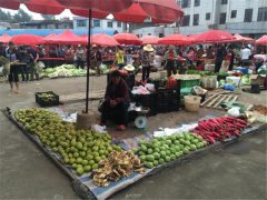 食品安全檢測儀能檢測什么食品？