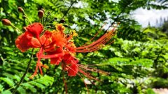 土壤有機(jī)質(zhì)檢測(cè)儀有什么作用？