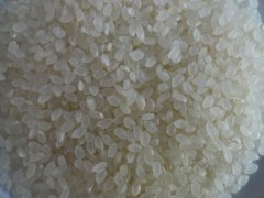 大米重金屬鎘檢測儀，可對樣品進行快速檢測