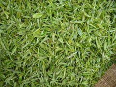 怎樣檢測(cè)茶葉中的茶多酚含量？