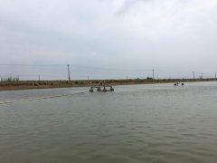 霍爾德便攜式余氯檢測(cè)儀，可提前預(yù)防養(yǎng)殖風(fēng)險(xiǎn)