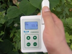 葉綠素含量測(cè)定儀，即時(shí)測(cè)量植物的綠色程度