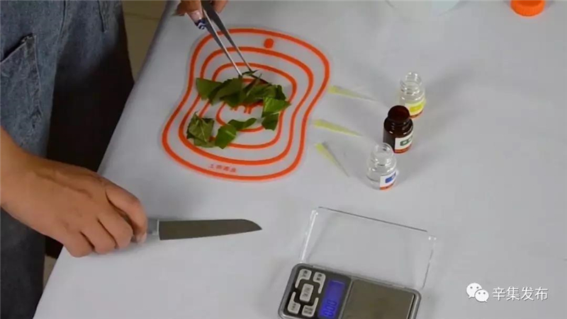 辛集市58所學校配備農(nóng)藥殘留檢測儀